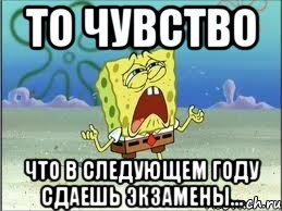 то чувство что в следующем году сдаешь экзамены..., Мем Спанч Боб плачет