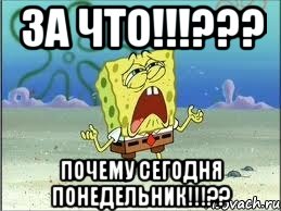 за что!!!??? почему сегодня понедельник!!!??, Мем Спанч Боб плачет