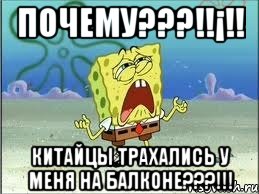 почему???!!¡!! китайцы трахались у меня на балконе???!!!, Мем Спанч Боб плачет