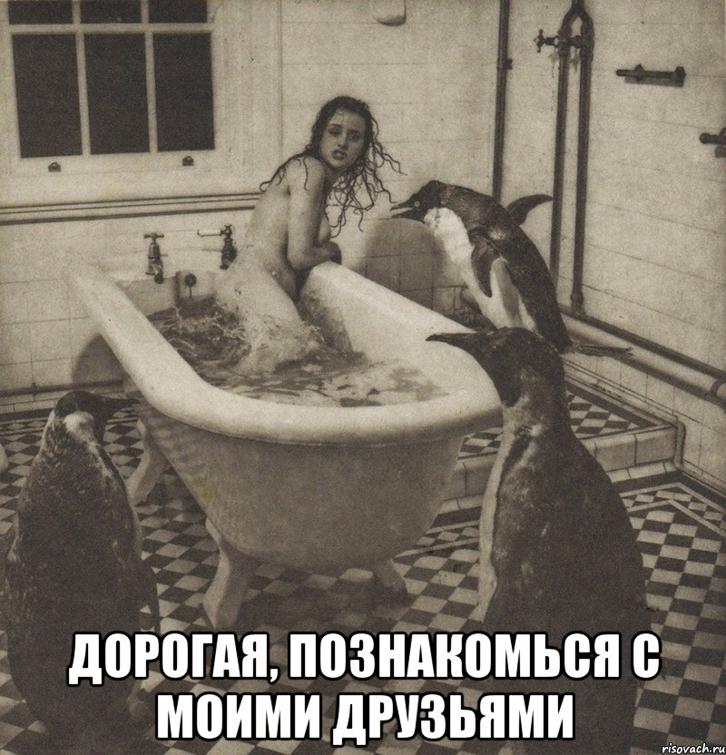 Сообщить свободный