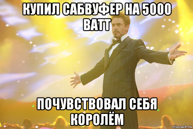 купил сабвуфер на 5000 ватт почувствовал себя королём, Мем Тони Старк (Роберт Дауни младший)