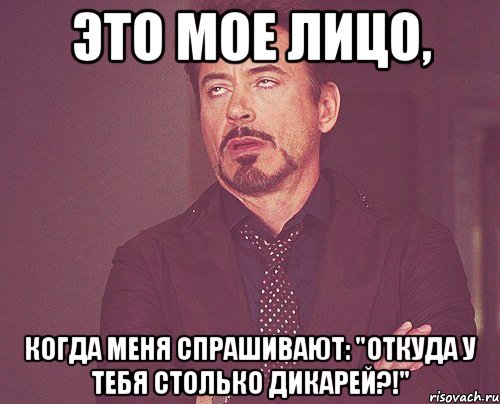 это мое лицо, когда меня спрашивают: "откуда у тебя столько дикарей?!", Мем твое выражение лица