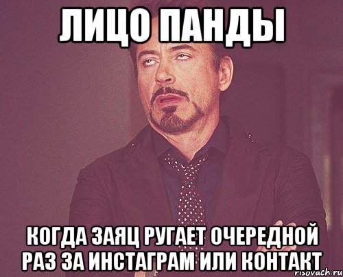 лицо панды когда заяц ругает очередной раз за инстаграм или контакт, Мем твое выражение лица