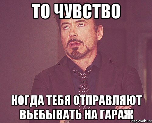 то чувство когда тебя отправляют вьебывать на гараж, Мем твое выражение лица