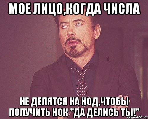 мое лицо,когда числа не делятся на нод,чтобы получить нок "да делись ты!", Мем твое выражение лица