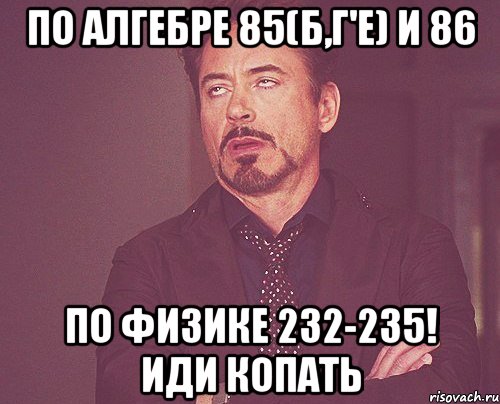 по алгебре 85(б,г'е) и 86 по физике 232-235! иди копать, Мем твое выражение лица