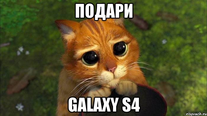 подари galaxy s4, Мем кот из шрека