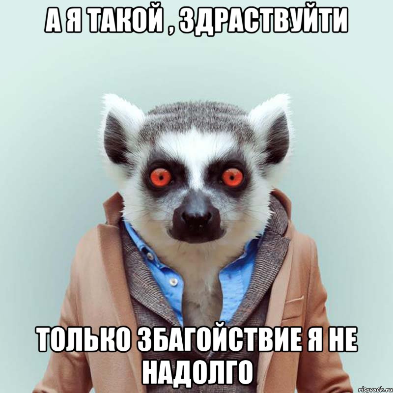 а я такой , здраствуйти только збагойствие я не надолго, Мем укуренный лемур