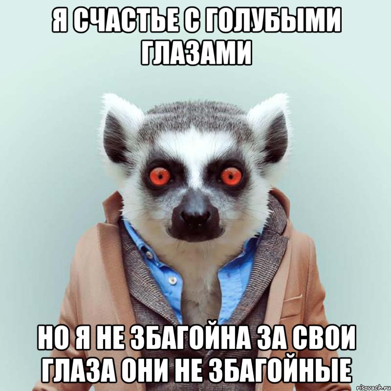 я счастье с голубыми глазами но я не збагойна за свои глаза они не збагойные, Мем укуренный лемур