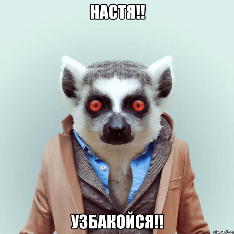 настя!! узбакойся!!, Мем укуренный лемур