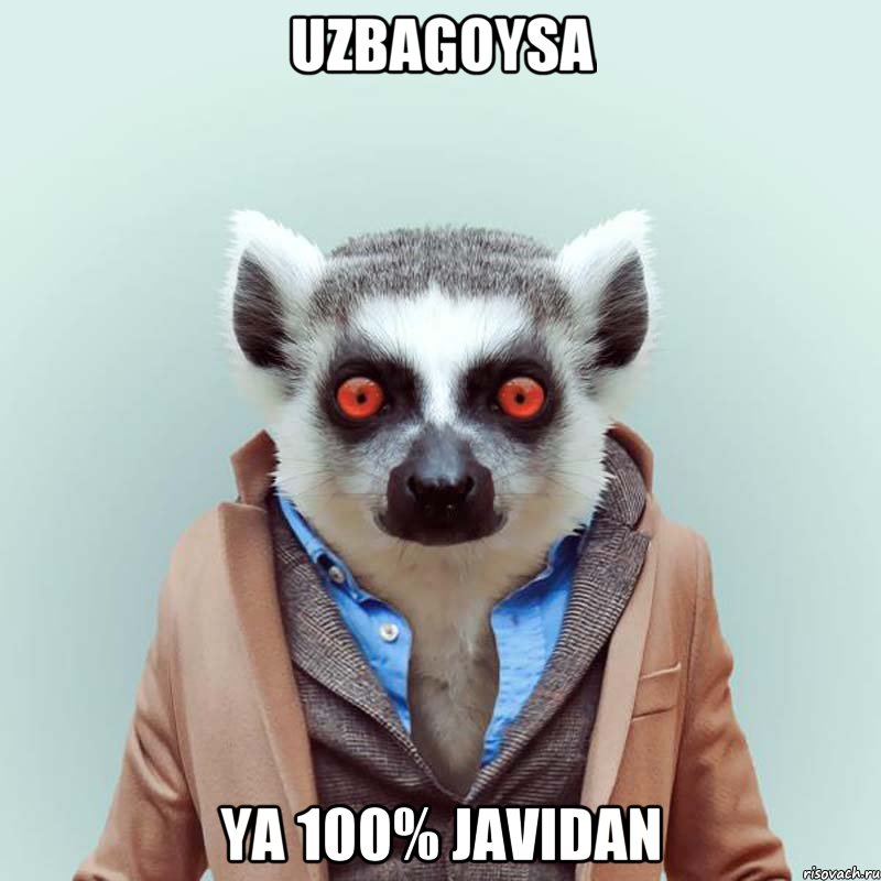 uzbagoysa ya 100% javidan, Мем укуренный лемур