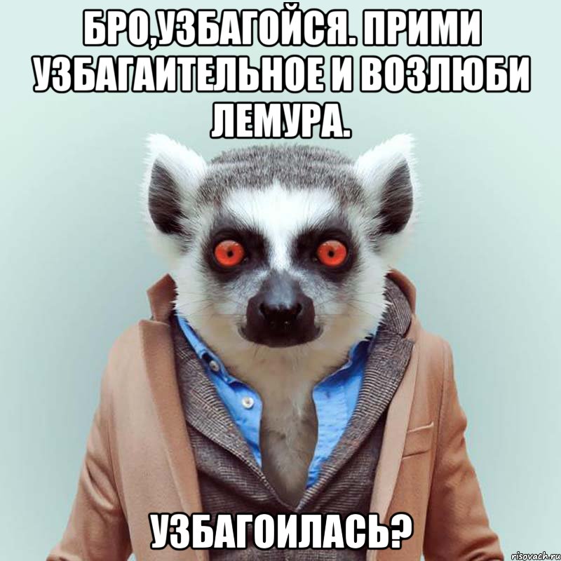 бро,узбагойся. прими узбагаительное и возлюби лемура. узбагоилась?, Мем укуренный лемур