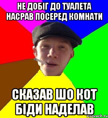 не добіг до туалета насрав посеред комнати сказав шо кот біди наделав, Мем умный гопник