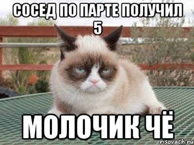 сосед по парте получил 5 молочик чё, Мем Ungly Cat