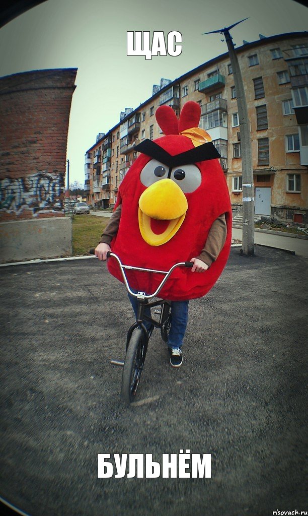 щас Бульнём, Комикс  Angry bird на велике