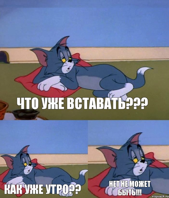 что уже вставать??? как уже утро?? нет не может быть!!!