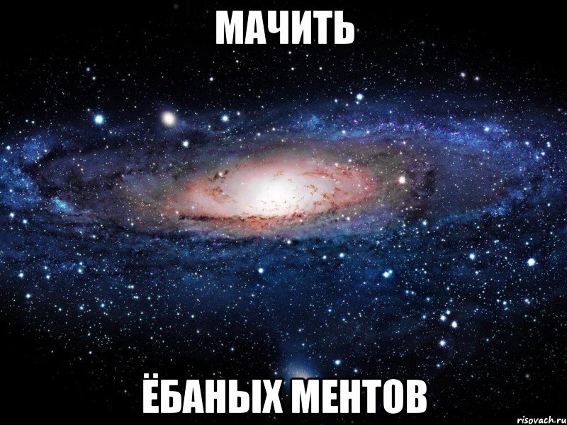 мачить ёбаных ментов, Мем Вселенная