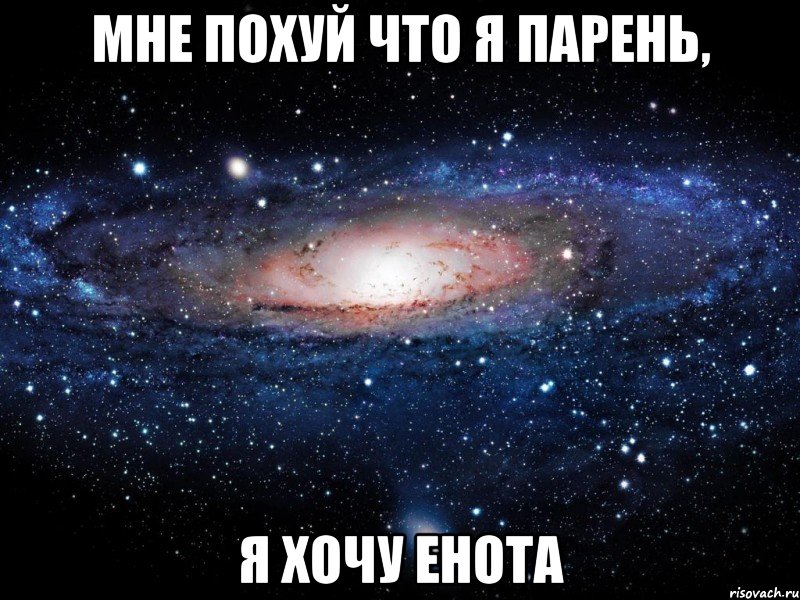 мне похуй что я парень, я хочу енота, Мем Вселенная