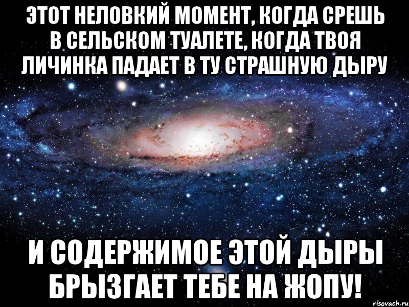 этот неловкий момент, когда срешь в сельском туалете, когда твоя личинка падает в ту страшную дыру и содержимое этой дыры брызгает тебе на жопу!, Мем Вселенная