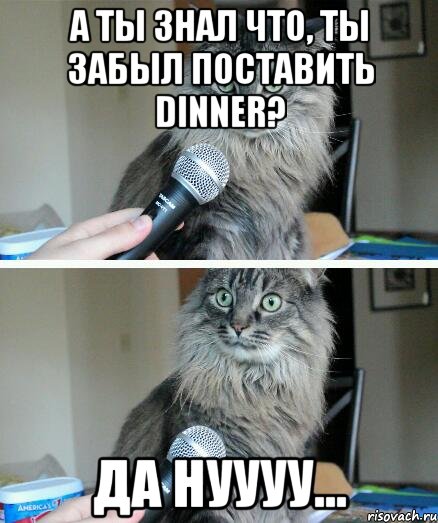 а ты знал что, ты забыл поставить dinner? да нуууу..., Комикс  кот с микрофоном