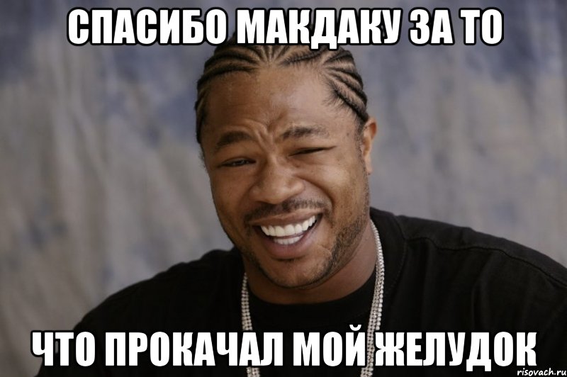 спасибо макдаку за то что прокачал мой желудок, Мем Xzibit