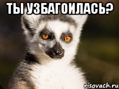 ты узбагоилась? , Мем Я збагоен