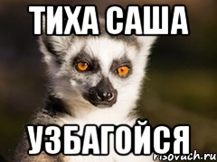 тиха саша узбагойся, Мем Я збагоен