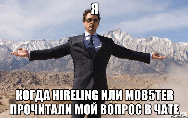 я когда hireling или mob5ter прочитали мой вопрос в чате, Мем железный человек