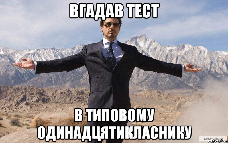 вгадав тест в типовому одинадцятикласнику, Мем железный человек