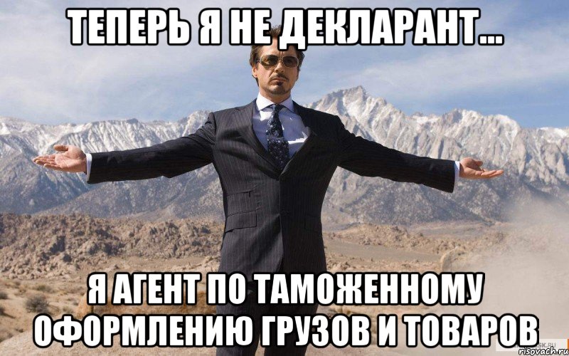 теперь я не декларант... я агент по таможенному оформлению грузов и товаров, Мем железный человек