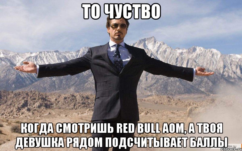 то чуство когда смотришь red bull aom, а твоя девушка рядом подсчитывает баллы, Мем железный человек