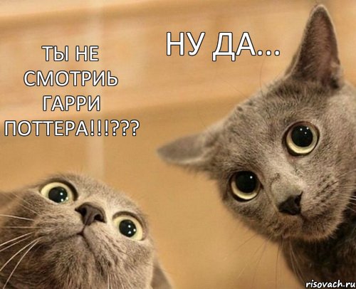 ТЫ НЕ СМОТРИЬ ГАРРИ ПОТТЕРА!!!??? Ну да..., Комикс  2 кота