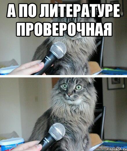 а по литературе проверочная , Комикс  кот с микрофоном