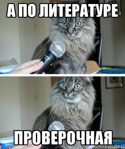 а по литературе проверочная, Комикс  кот с микрофоном