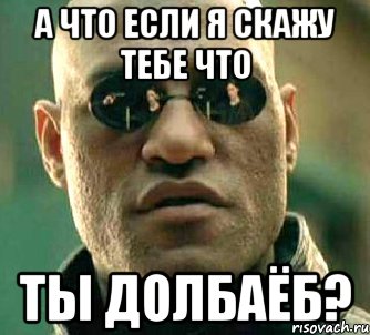 Ты долбаеб. А что если я скажу тебе Мем. Мемы про а4. Долбаеб ты меня называла. Долбоеб ты меня называла.