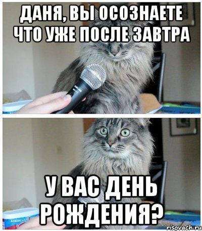 даня, вы осознаете что уже после завтра у вас день рождения?, Комикс  кот с микрофоном