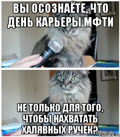 вы осознаёте, что день карьеры мфти не только для того, чтобы нахватать халявных ручек?, Комикс  кот с микрофоном