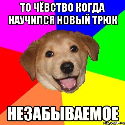 то чёвство когда научился новый трюк незабываемое, Мем Advice Dog