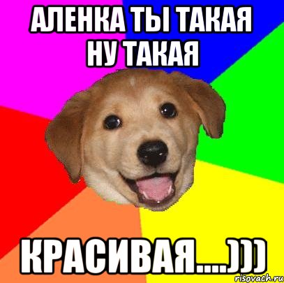 аленка ты такая ну такая красивая....))), Мем Advice Dog