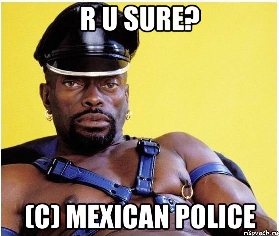 r u sure? (c) mexican police, Мем Черный властелин