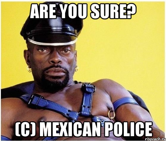 are you sure? (c) mexican police, Мем Черный властелин