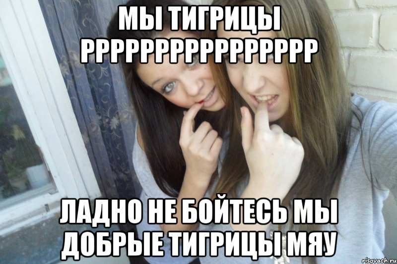 мы тигрицы рррррррррррррррр ладно не бойтесь мы добрые тигрицы мяу