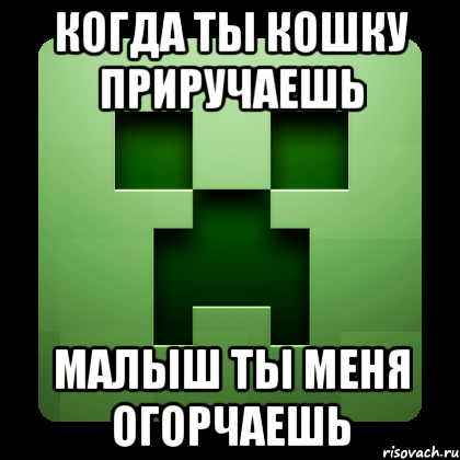 когда ты кошку приручаешь малыш ты меня огорчаешь, Мем Creeper