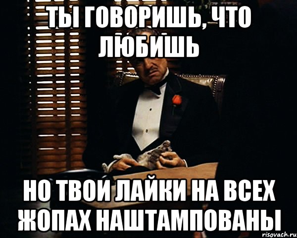 ты говоришь, что любишь но твои лайки на всех жопах наштампованы, Мем Дон Вито Корлеоне