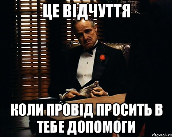 це відчуття коли провід просить в тебе допомоги, Мем Дон Вито Корлеоне