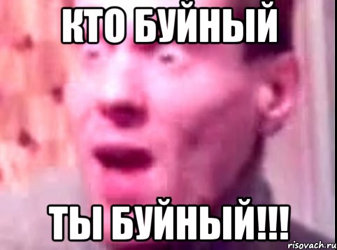 кто буйный ты буйный!!!, Мем Дверь мне запили