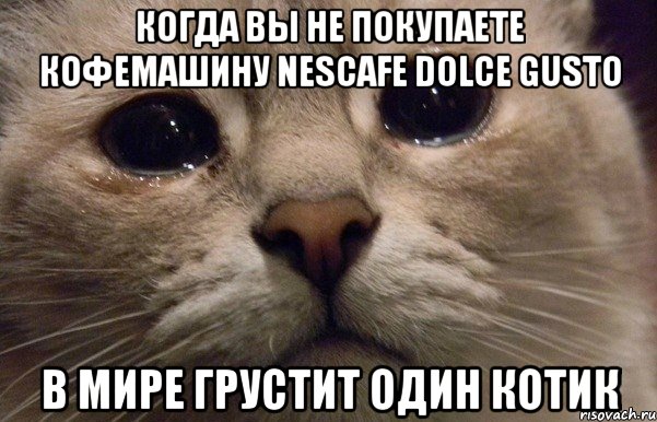 когда вы не покупаете кофемашину nescafe dolce gusto в мире грустит один котик, Мем   В мире грустит один котик