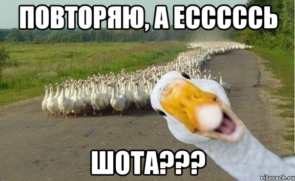 повторяю, а есссссь шота???, Мем гуси