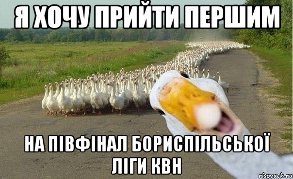 я хочу прийти першим на півфінал бориспільської ліги квн, Мем гуси