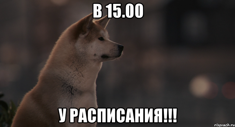 в 15.00 у расписания!!!, Мем Хатико